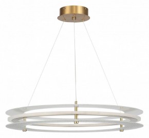 Подвесной светильник ST-Luce FAGY SL6245.203.01 в Копейске - kopejsk.ok-mebel.com | фото 3