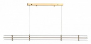 Подвесной светильник ST-Luce FAGY SL6245.223.01 в Копейске - kopejsk.ok-mebel.com | фото 3