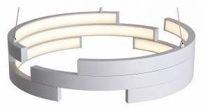 Подвесной светильник ST-Luce Genuine SL963.503.01 в Копейске - kopejsk.ok-mebel.com | фото