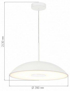Подвесной светильник ST-Luce Lido SL6128.503.01 в Копейске - kopejsk.ok-mebel.com | фото 4