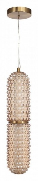 Подвесной светильник ST-Luce SAGUARO SL6144.303.01 в Копейске - kopejsk.ok-mebel.com | фото 3