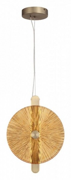 Подвесной светильник ST-Luce WASI SL6141.313.01 в Копейске - kopejsk.ok-mebel.com | фото 2