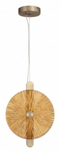 Подвесной светильник ST-Luce WASI SL6141.313.01 в Копейске - kopejsk.ok-mebel.com | фото 3