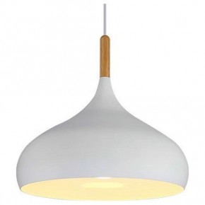Подвесной светильник TopDecor Molto Molto S2 10 в Копейске - kopejsk.ok-mebel.com | фото