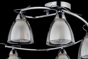 Потолочная люстра Arti Lampadari Paola, Tavenna Nickel Paola E 1.1.5 N в Копейске - kopejsk.ok-mebel.com | фото 4
