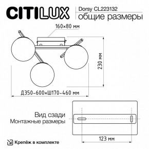 Потолочная люстра Citilux Dorsy CL223132 в Копейске - kopejsk.ok-mebel.com | фото 12