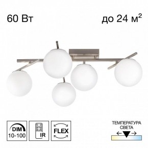 Потолочная люстра Citilux Dorsy CL223151 в Копейске - kopejsk.ok-mebel.com | фото 2
