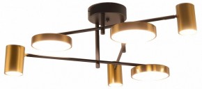 Потолочная люстра Kink Light Рапис 07645-6D,19(20) в Копейске - kopejsk.ok-mebel.com | фото