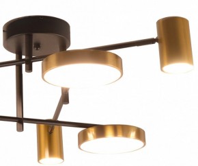 Потолочная люстра Kink Light Рапис 07645-6D,19(20) в Копейске - kopejsk.ok-mebel.com | фото 2