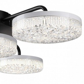 Потолочная люстра Lumion Didana 8236/4CL в Копейске - kopejsk.ok-mebel.com | фото 7