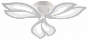 Потолочная люстра Natali Kovaltseva FORTUNA LED LAMPS 81107/2C в Копейске - kopejsk.ok-mebel.com | фото