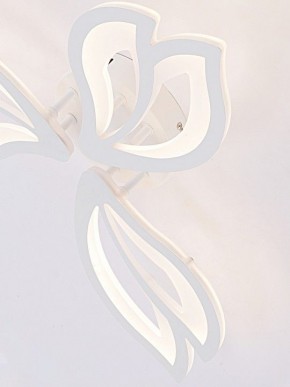 Потолочная люстра Natali Kovaltseva FORTUNA LED LAMPS 81107/2C в Копейске - kopejsk.ok-mebel.com | фото 11
