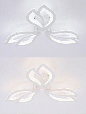 Потолочная люстра Natali Kovaltseva FORTUNA LED LAMPS 81107/2C в Копейске - kopejsk.ok-mebel.com | фото 4