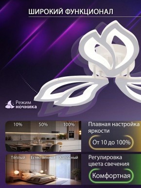 Потолочная люстра Natali Kovaltseva FORTUNA LED LAMPS 81107/2C в Копейске - kopejsk.ok-mebel.com | фото 5