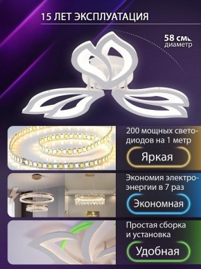 Потолочная люстра Natali Kovaltseva FORTUNA LED LAMPS 81107/2C в Копейске - kopejsk.ok-mebel.com | фото 6