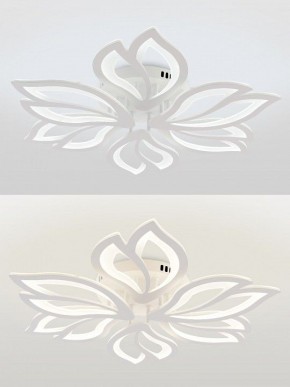 Потолочная люстра Natali Kovaltseva FORTUNA LED LAMPS 81107/6C в Копейске - kopejsk.ok-mebel.com | фото 4