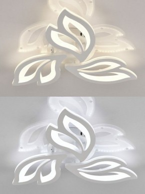 Потолочная люстра Natali Kovaltseva  LED LAMPS 81426 в Копейске - kopejsk.ok-mebel.com | фото 4