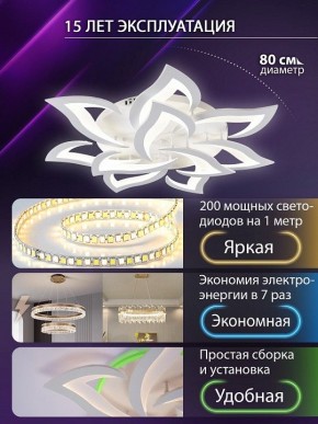 Потолочная люстра Natali Kovaltseva OLIMP LED SMART 84005 в Копейске - kopejsk.ok-mebel.com | фото 5