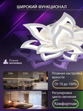 Потолочная люстра Natali Kovaltseva OLIMP LED SMART 84005 в Копейске - kopejsk.ok-mebel.com | фото 6
