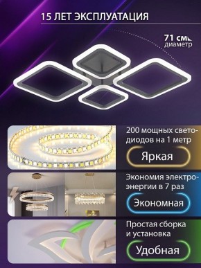 Потолочная люстра Natali Kovaltseva OPTI LED LAMPS 81108/2C в Копейске - kopejsk.ok-mebel.com | фото 5