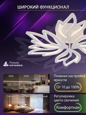 Потолочная люстра Natali Kovaltseva RIF LED LAMPS 81118/5C в Копейске - kopejsk.ok-mebel.com | фото 6