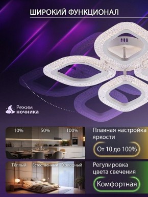 Потолочная люстра Natali Kovaltseva SM LED LAMPS 81455 в Копейске - kopejsk.ok-mebel.com | фото 6