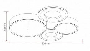 Потолочная люстра Rivoli Aliona Б0066451 в Копейске - kopejsk.ok-mebel.com | фото 11