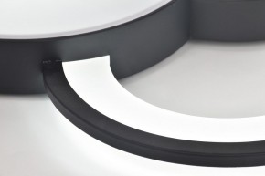 Потолочная люстра Rivoli Aliona Б0066452 в Копейске - kopejsk.ok-mebel.com | фото 10