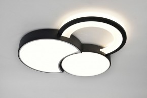 Потолочная люстра Rivoli Aliona Б0066452 в Копейске - kopejsk.ok-mebel.com | фото 7