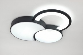 Потолочная люстра Rivoli Aliona Б0066452 в Копейске - kopejsk.ok-mebel.com | фото 8