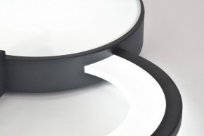 Потолочная люстра Rivoli Aliona Б0066452 в Копейске - kopejsk.ok-mebel.com | фото 9