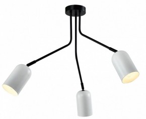 Потолочная люстра Rivoli Rosalinda Б0064987 в Копейске - kopejsk.ok-mebel.com | фото 2