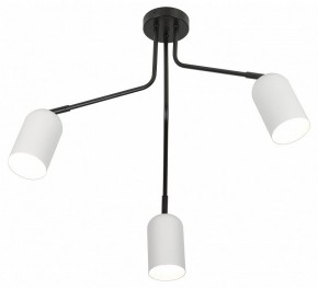 Потолочная люстра Rivoli Rosalinda Б0064987 в Копейске - kopejsk.ok-mebel.com | фото 4