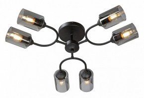 Потолочная люстра Vitaluce V2823 V2823-1/6PL в Копейске - kopejsk.ok-mebel.com | фото 2