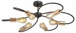 Потолочная люстра Vitaluce V3076 V3076-1/6PL в Копейске - kopejsk.ok-mebel.com | фото 3