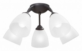 Потолочная люстра Vitaluce V3184 V3737-2/5PL в Копейске - kopejsk.ok-mebel.com | фото