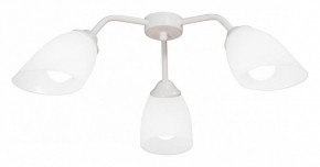 Потолочная люстра Vitaluce V31950 V31950/3PL в Копейске - kopejsk.ok-mebel.com | фото