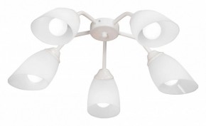 Потолочная люстра Vitaluce V31950 V31950/5PL в Копейске - kopejsk.ok-mebel.com | фото