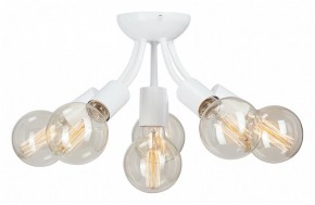 Потолочная люстра Vitaluce V3927 V3927-0/6PL в Копейске - kopejsk.ok-mebel.com | фото