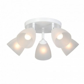 Потолочная люстра Vitaluce V4355 V4355-0/5PL в Копейске - kopejsk.ok-mebel.com | фото 2