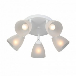 Потолочная люстра Vitaluce V4355 V4355-0/5PL в Копейске - kopejsk.ok-mebel.com | фото 3