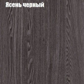 Прихожая ДИАНА-4 сек №3 (Ясень анкор/Дуб эльза) в Копейске - kopejsk.ok-mebel.com | фото 3