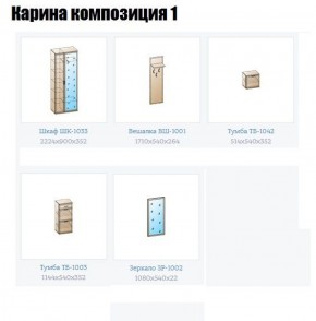 Прихожая Карина (модульная) в Копейске - kopejsk.ok-mebel.com | фото 4