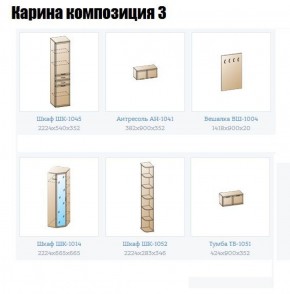 Прихожая Карина (модульная) в Копейске - kopejsk.ok-mebel.com | фото 8