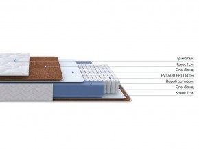 PROxSON Матрас Active F Roll (Ткань Трикотаж Эко) 120x200 в Копейске - kopejsk.ok-mebel.com | фото 2