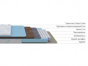 PROxSON Матрас Совенок (Cotton Little PROSON) 60x170 в Копейске - kopejsk.ok-mebel.com | фото 2