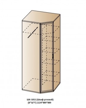 ШК-1011 (Шкаф угловой) в Копейске - kopejsk.ok-mebel.com | фото