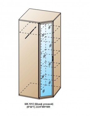 ШК-1012 (Шкаф угловой) в Копейске - kopejsk.ok-mebel.com | фото