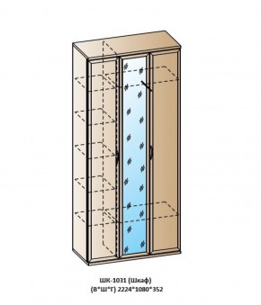 ШК-1031 (Шкаф) в Копейске - kopejsk.ok-mebel.com | фото