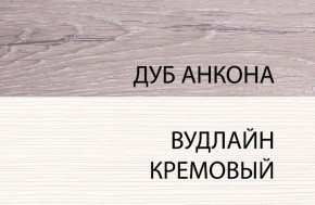 Шкаф 1DW, OLIVIA, цвет вудлайн крем/дуб анкона в Копейске - kopejsk.ok-mebel.com | фото 3